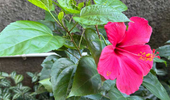 Nasihat Terakhir Nabi